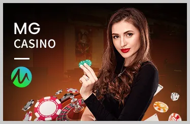 Hình ảnh hai chiến kê với cựa sắt đang chuẩn bị giao đấu trên sàn đấu